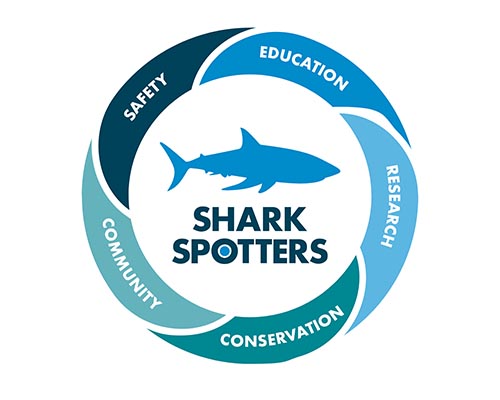 BulkSMS Aids Shark Spotters Beach Safety Efforts